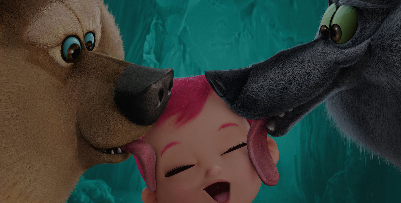 轰炸短信在线使用